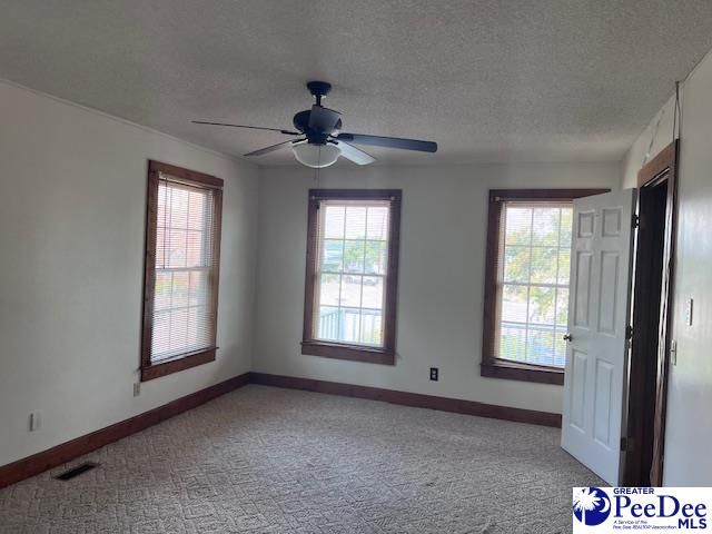 40 W Rigby St, Manning, SC 29102