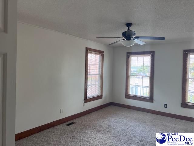 40 W Rigby St, Manning, SC 29102