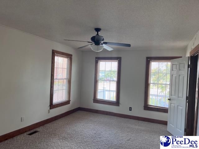 40 W Rigby St, Manning, SC 29102