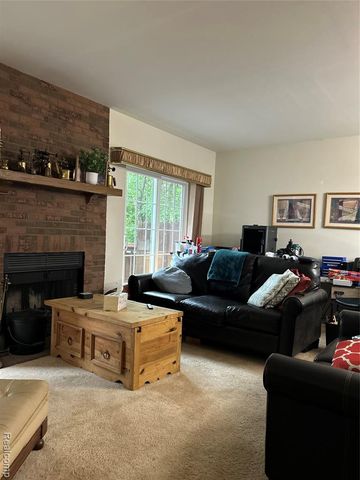 1079 Paint Creek Lane 379, Rochester Hills, MI 48306
