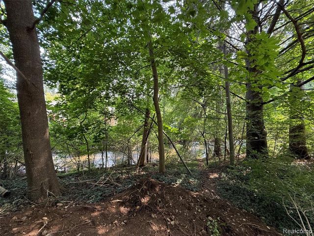 1079 Paint Creek Lane 379, Rochester Hills, MI 48306