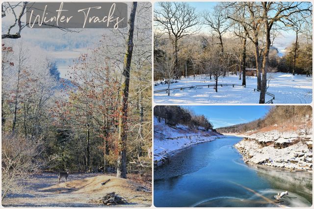 2446 State Highway Oo, Cedarcreek, MO 65627