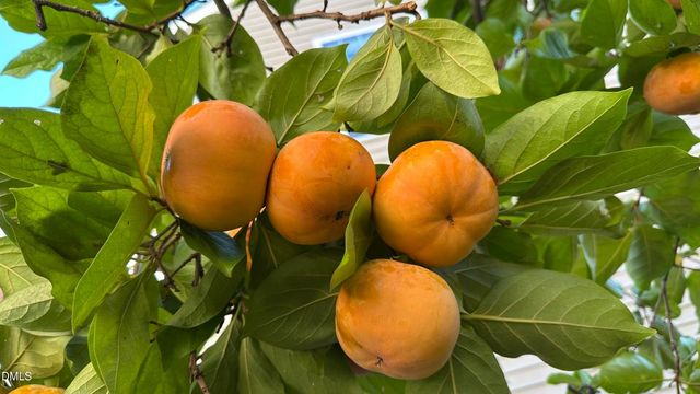 216 Oswego Court, Morrisville, NC 27560