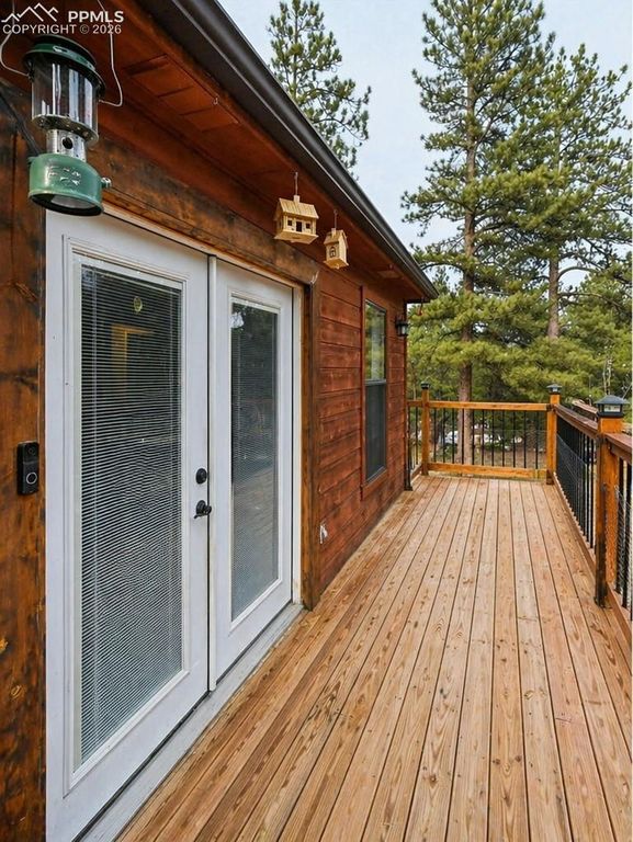 31 Wallace Drive, Florissant, CO 80816 — photo 2