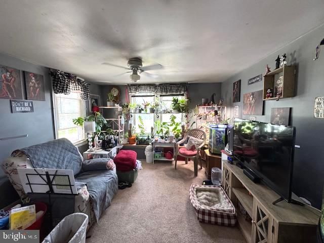 10 S 2ND ST, Dillsburg, PA 17019