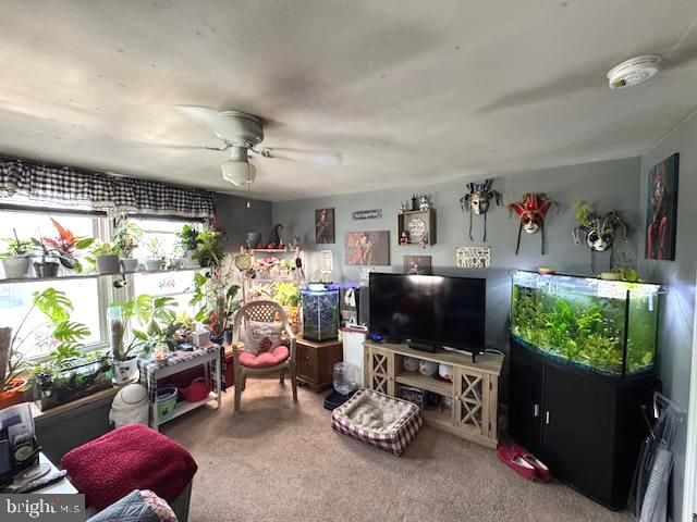 10 S 2ND ST, Dillsburg, PA 17019