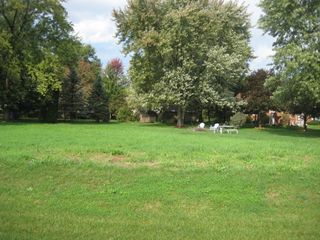lot 2 washington Street, Braidwood, IL 60408