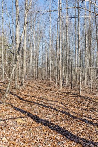 967 Walden Drive, Signal Mountain, TN 37377