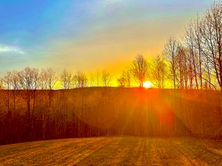 967 Walden Drive, Signal Mountain, TN 37377