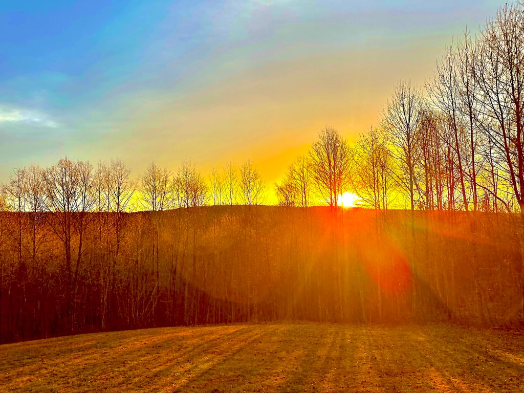 967 Walden Drive, Signal Mountain, TN 37377