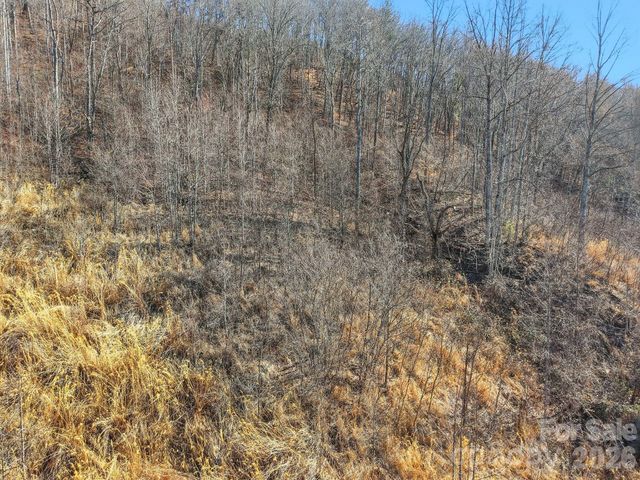 99999 Morgan Branch Road, Marshall, NC 28753