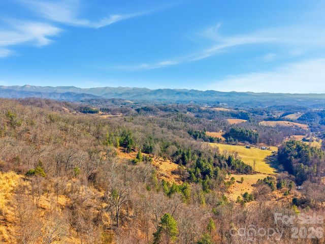 99999 Morgan Branch Road, Marshall, NC 28753