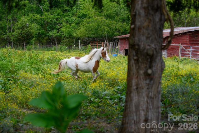 3680 Rocky Road, Lenoir, NC 28645