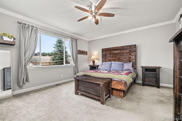 6749 Mentha Drive, Castle Rock, CO 80108