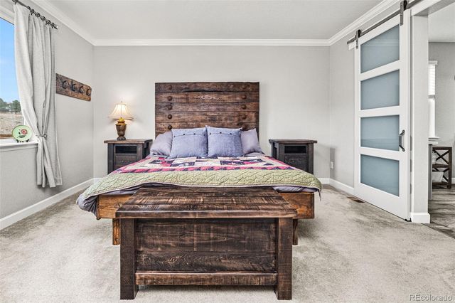 6749 Mentha Drive, Castle Rock, CO 80108