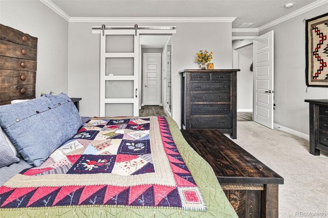 6749 Mentha Drive, Castle Rock, CO 80108