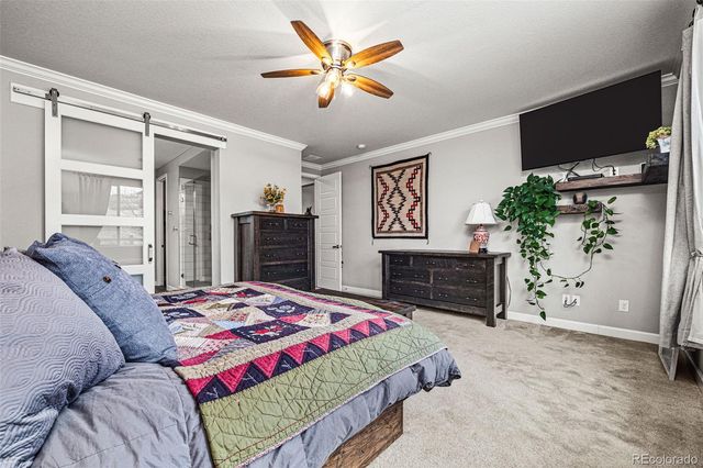 6749 Mentha Drive, Castle Rock, CO 80108