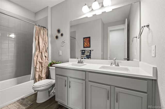 6749 Mentha Drive, Castle Rock, CO 80108