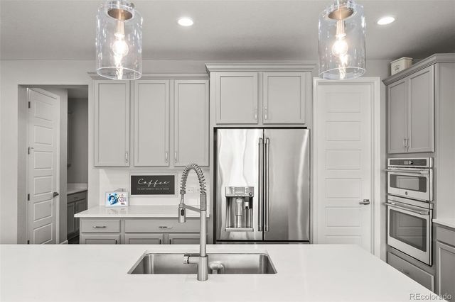 6749 Mentha Drive, Castle Rock, CO 80108