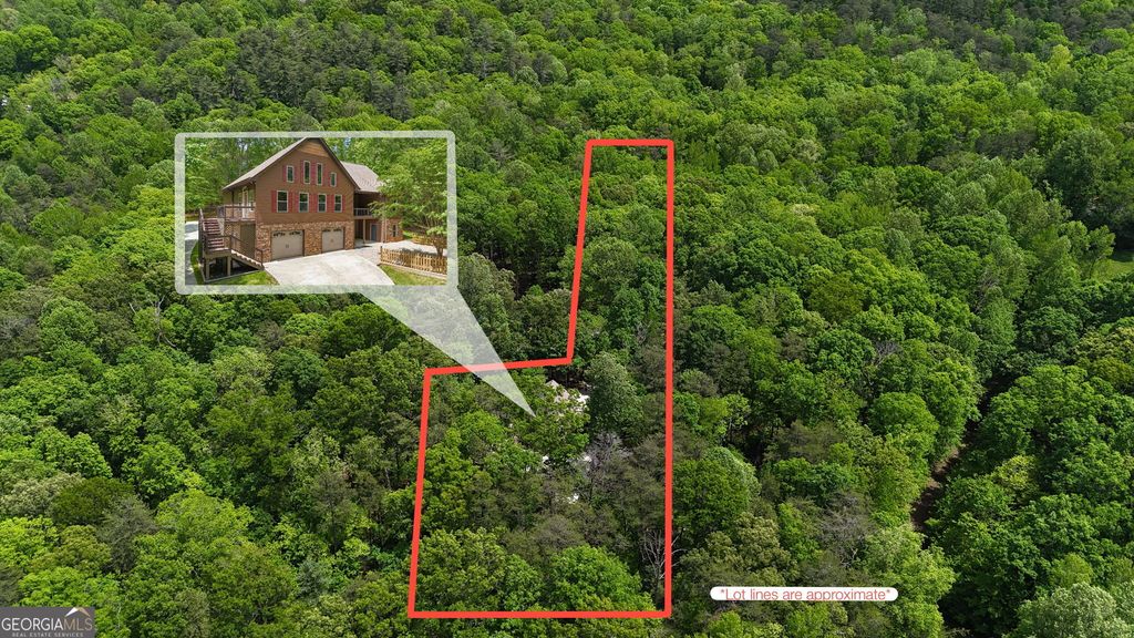 1615 Ben T Huiet Hwy. SR-255 ALT., Clarkesville, GA 30523