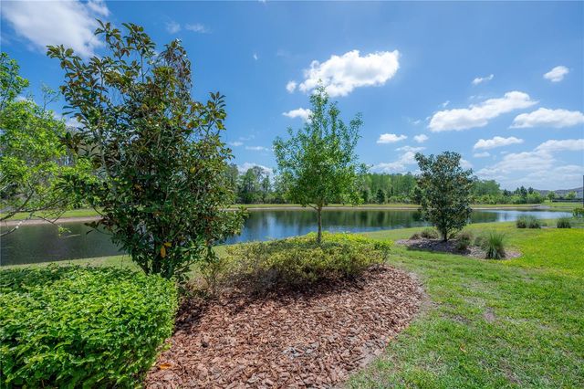 4652 BALLANTRAE BOULEVARD, Land O Lakes, FL 34638