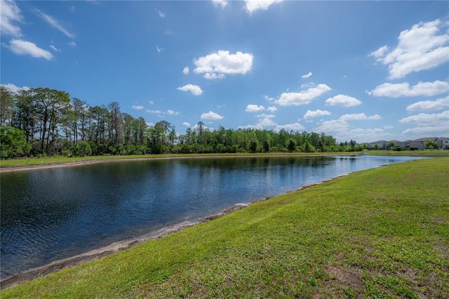 4652 BALLANTRAE BOULEVARD, Land O Lakes, FL 34638
