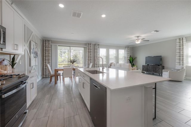 4652 BALLANTRAE BOULEVARD, Land O Lakes, FL 34638