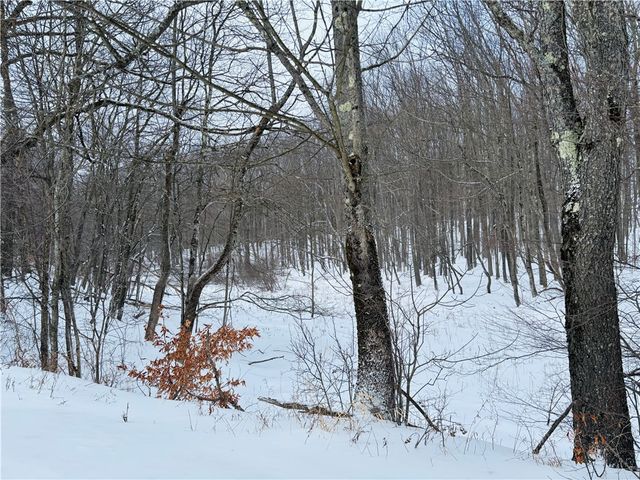 595 Summit Lake Road, Edmeston, NY 13315