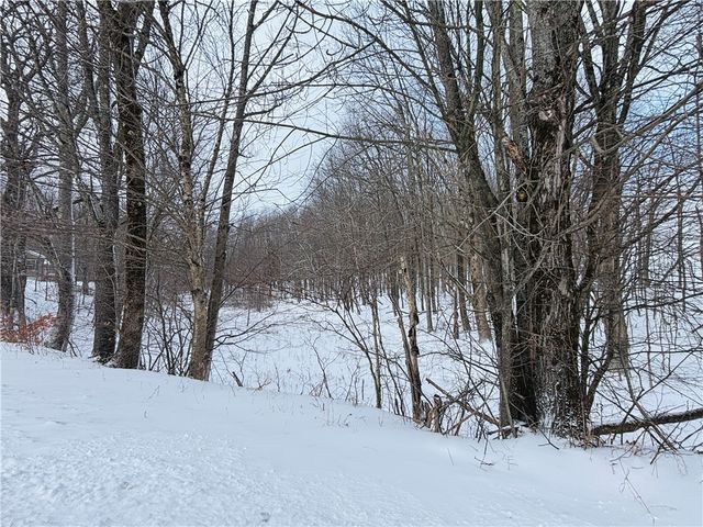 595 Summit Lake Road, Edmeston, NY 13315