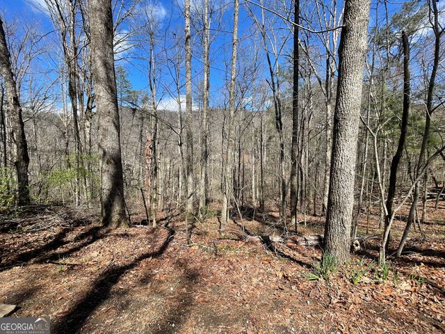 0 Bridge Creek Road, Tiger, GA 30576