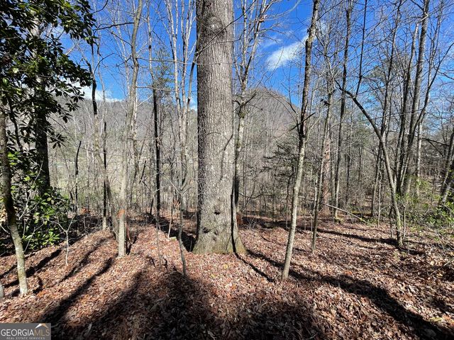 0 Bridge Creek Road, Tiger, GA 30576