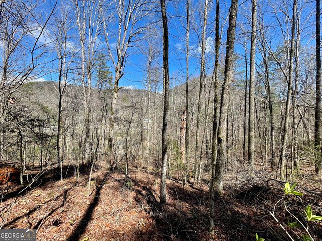 0 Bridge Creek Road, Tiger, GA 30576