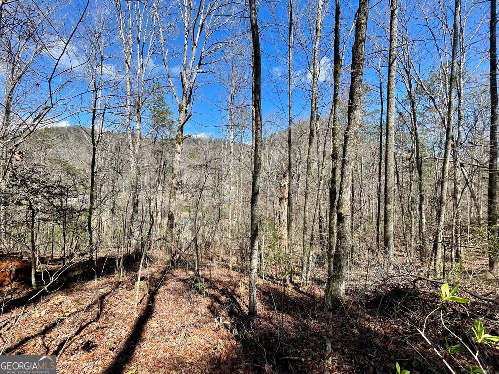0 Bridge Creek Road, Tiger, GA 30576 — photo 5