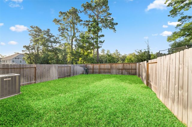 331 E Coralburst Loop, Montgomery, TX 77316