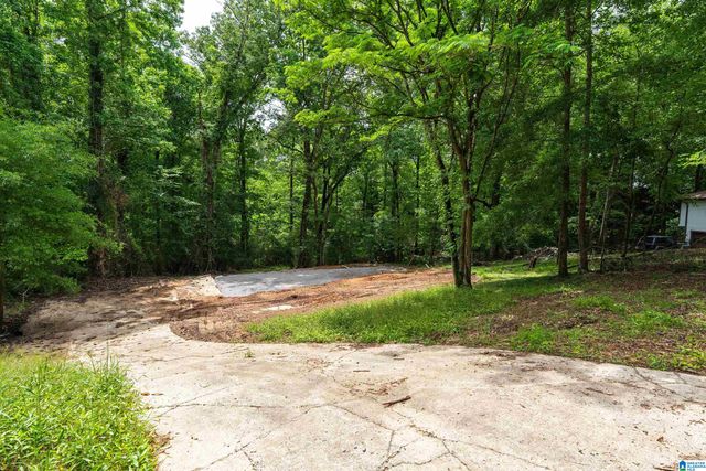 4804 WINNEBAGO DRIVE, County, AL 35244