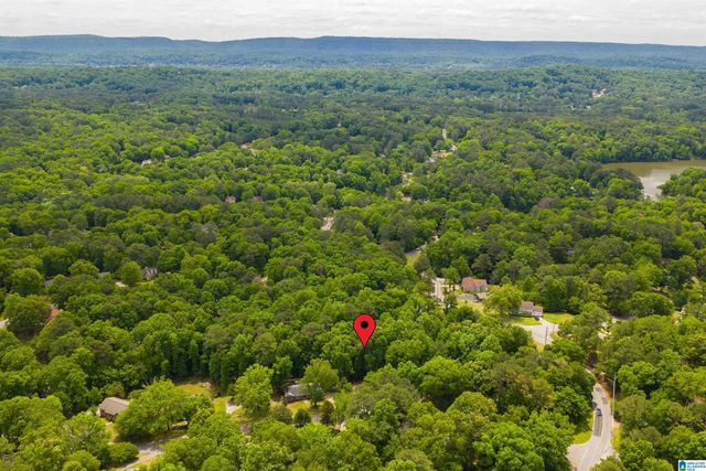 4804 WINNEBAGO DRIVE, County, AL 35244