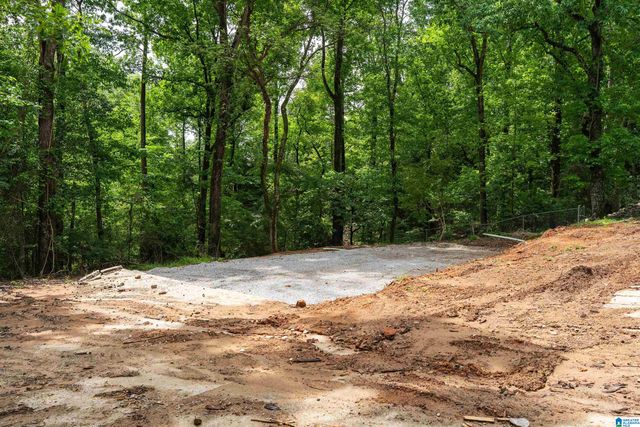 4804 WINNEBAGO DRIVE, County, AL 35244