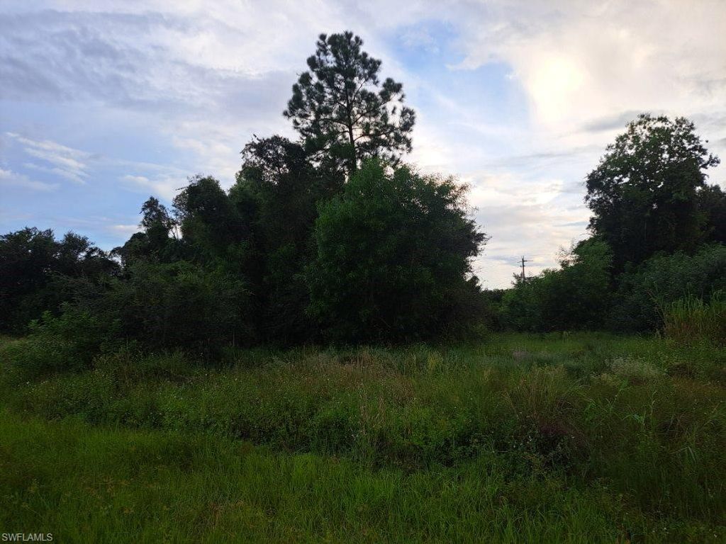 145 Pine LN, LEHIGH ACRES, FL 33973 — exterior