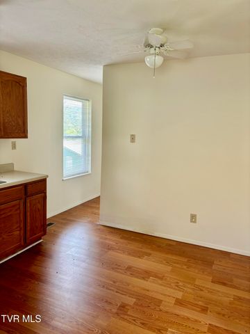 122 Kitty Cole Lane, Dungannon, VA 24245