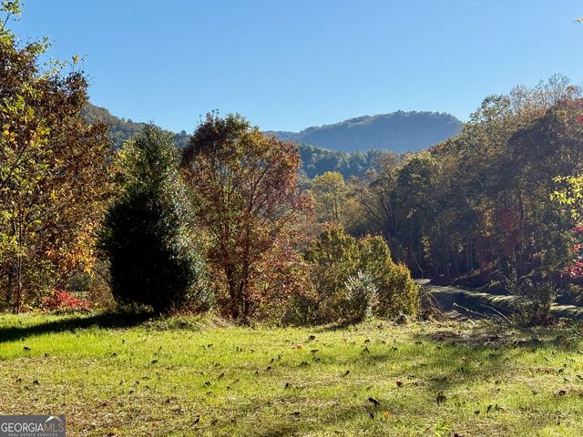0 Zoellner Lane, Dillard, GA 30537