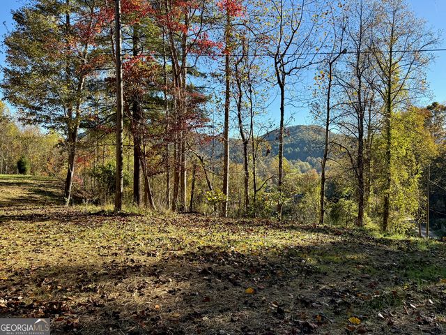 0 Zoellner Lane, Dillard, GA 30537