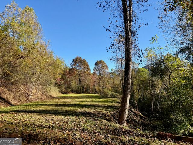 0 Zoellner Lane, Dillard, GA 30537