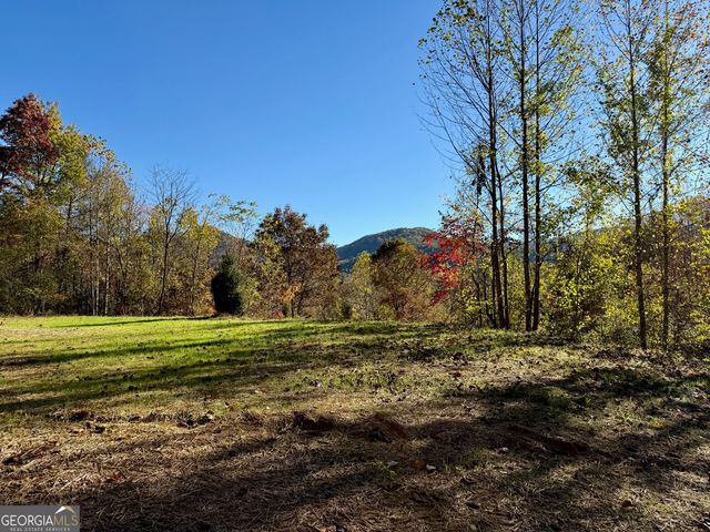 0 Zoellner Lane, Dillard, GA 30537