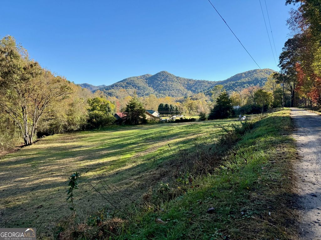0 Zoellner Lane, Dillard, GA 30537
