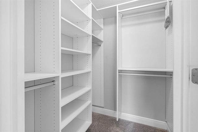 2456 FOGGY CREEK CIRCLE, Clearwater, FL 33764