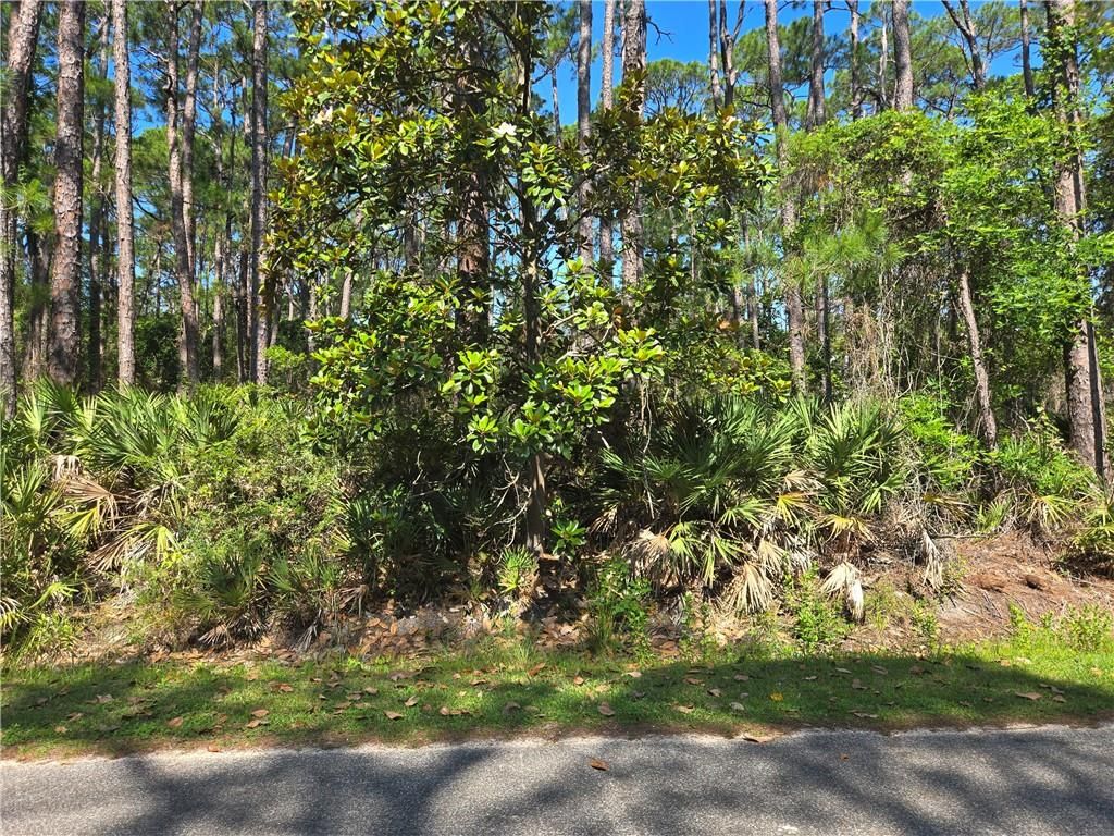 107 Annadale Street, Dauphin Island, AL 36528 — photo 2