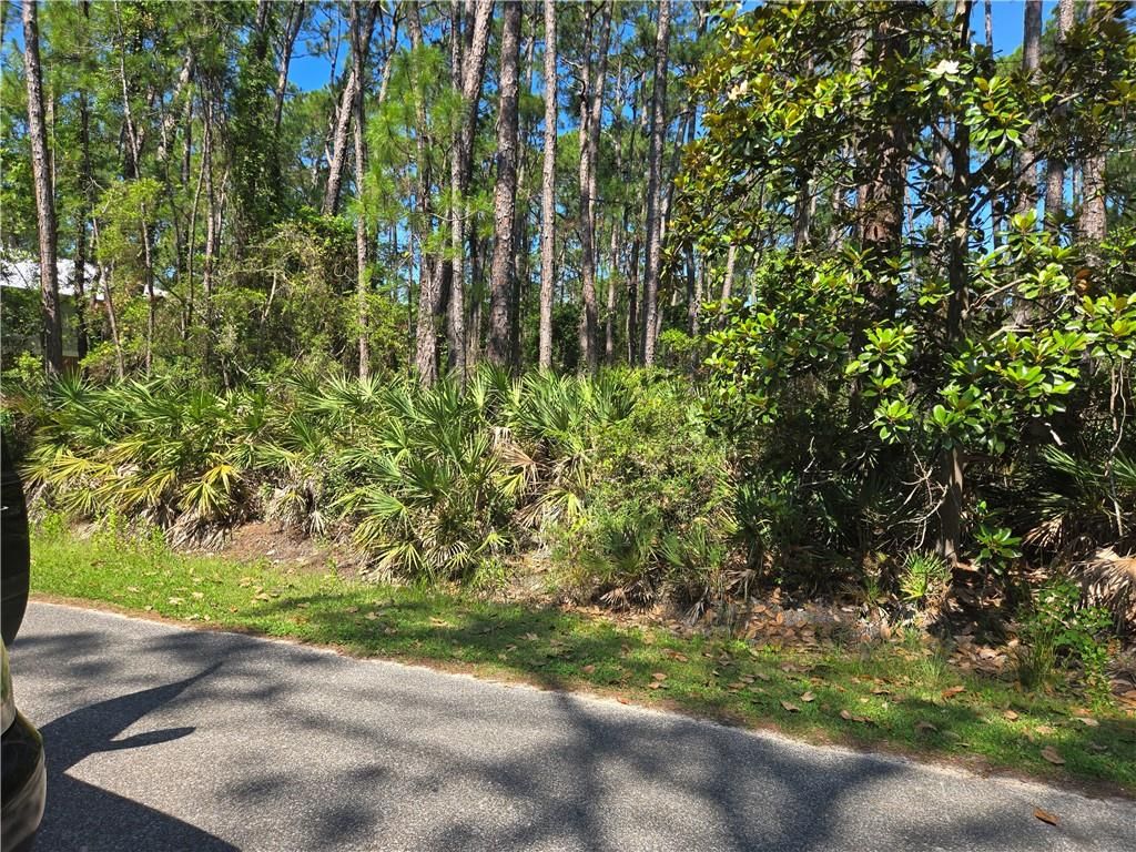107 Annadale Street, Dauphin Island, AL 36528 — photo 3