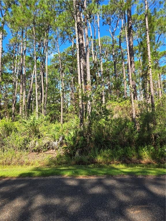 107 Annadale Street, Dauphin Island, AL 36528 — photo 4