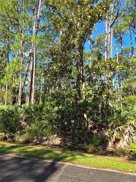 107 Annadale Street, Dauphin Island, AL 36528 — photo 5