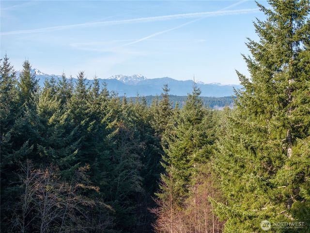 621 E Morris Creek Drive, Belfair, WA 98528